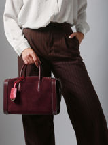 Bowlingtas M Bcbg Sude Leder Lancel Bruin bcbg A13693-vue-porte